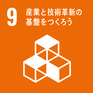 SDGs_9